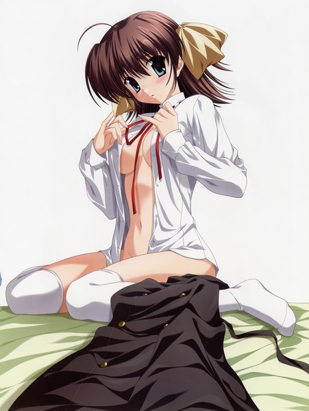 Anime picture 2420x3222 with ef a fairy tale of the two miyamura miyako nanao naru single tall image highres short hair blue eyes light erotic black hair open clothes open shirt girl thighhighs white thighhighs