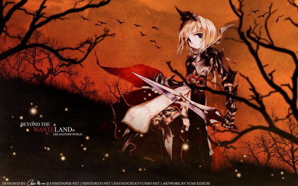 Anime picture 1680x1050 with sumi keiichi wide image tagme