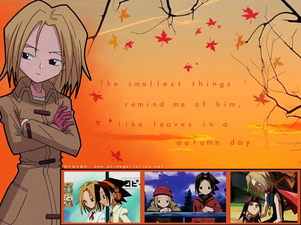 Anime picture 1024x768 with shaman king xebec autumn tagme