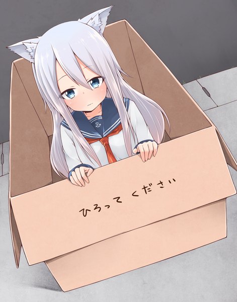 Anime picture 1100x1400 with kantai collection hibiki destroyer akky (akimi1127) single long hair tall image blush fringe breasts blue eyes animal ears grey hair embarrassed kemonomimi mode in container in box for adoption girl box cardboard box