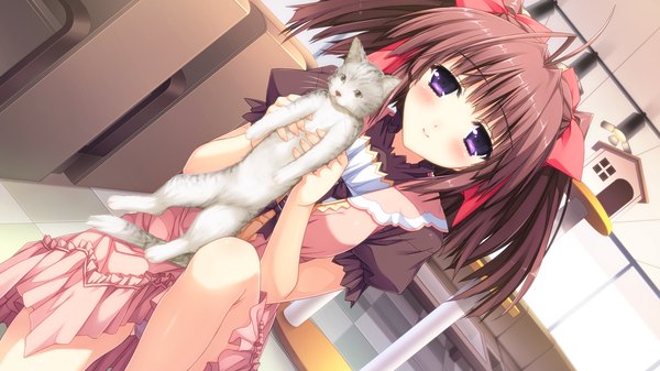 Anime picture 1920x1080 with berry's izuno youko kimizuka aoi blush highres short hair smile brown hair wide image purple eyes game cg girl dress bow hair bow cat