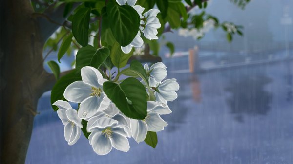 Anime picture 1280x720 with original tagme (artist) wide image rain street flower (flowers) plant (plants) tree (trees) leaf (leaves)