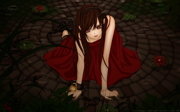 Anime picture 2560x1600 with vampire knight studio deen cross yuki single long hair highres brown hair wide image bare shoulders brown eyes vector girl dress water red dress shackles water lily lock