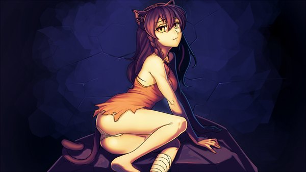 Anime picture 1920x1080 with 2ch.ru everlasting summer iichan eroge uvao-tan smolev single long hair looking at viewer highres light erotic brown hair wide image animal ears yellow eyes game cg tail braid (braids) animal tail cat ears shadow