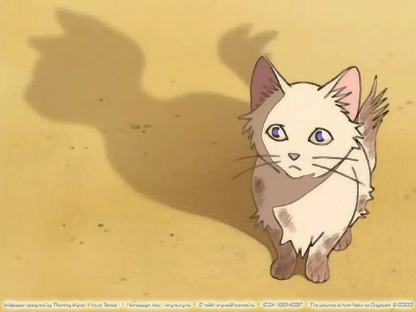Anime picture 1024x768 with the cat returns studio ghibli yuki (the cat returns) looking at viewer signed shadow no people sand cat