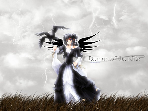 Anime picture 1024x768 with aquarian age goto nao kaylessa single long hair looking at viewer blue eyes black hair cloud (clouds) black wings third-party edit lightning girl dress plant (plants) animal wings bird (birds) grass
