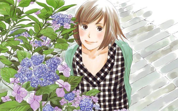 Anime picture 6312x3950 with nodame cantabile j.c. staff noda megumi ninomiya tomoko single looking at viewer highres short hair smile brown hair wide image brown eyes upper body outdoors from above plaid girl flower (flowers) hydrangea