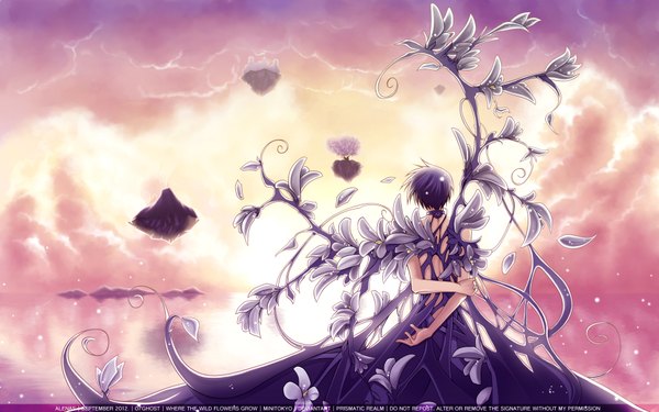 Anime picture 1920x1200 with 07-ghost studio deen teito klein yukino ichihara highres short hair wide image sky purple hair cloud (clouds) from behind sunlight torn clothes back evening light sunset mountain scenic rock