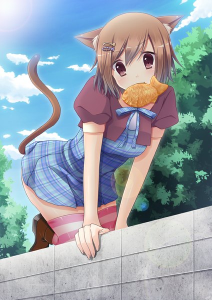Anime picture 707x1000 with original yanase aki tall image looking at viewer short hair brown hair brown eyes animal ears tail animal tail cat ears cat girl cat tail girl thighhighs dress hair ornament hairclip striped thighhighs