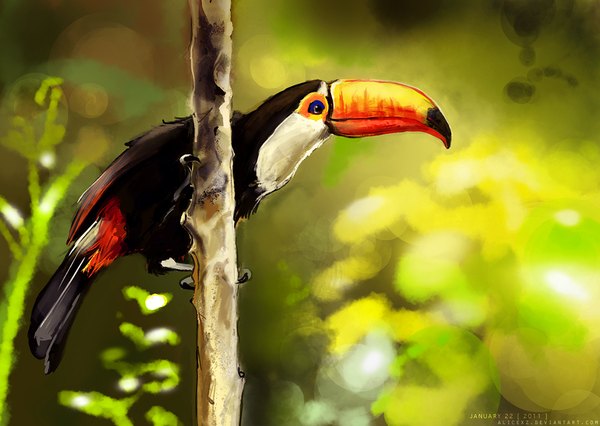 Anime picture 1000x710 with alicexz landscape nature plant (plants) animal bird (birds) branch claws beak toucan