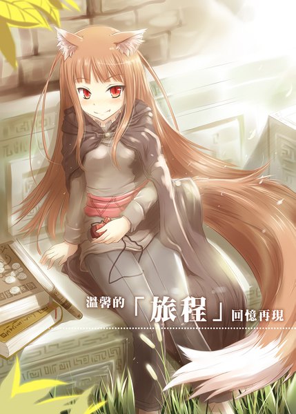 Anime picture 915x1280 with spice and wolf ico (game) horo nncat single long hair tall image looking at viewer blush fringe smile red eyes brown hair sitting animal ears payot bent knee (knees) tail blunt bangs animal tail
