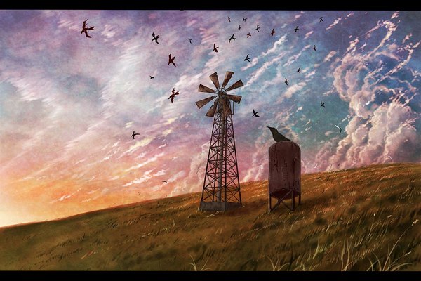 Anime picture 1007x672 with original cola (pixiv) sky cloud (clouds) wind evening sunset letterboxed no people landscape field plant (plants) animal bird (birds) feather (feathers) grass wind turbine