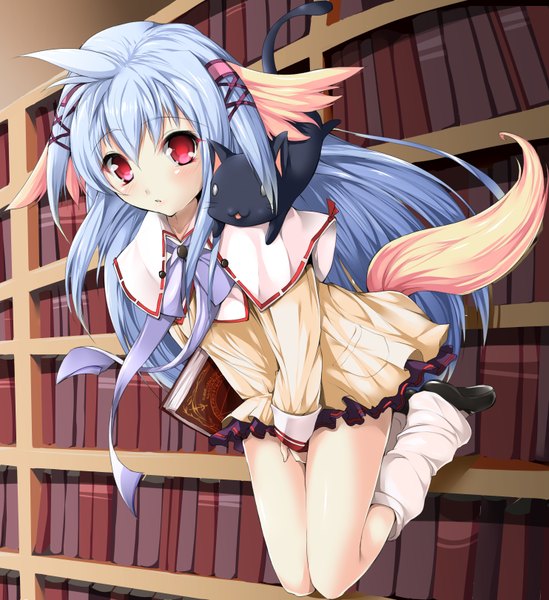 Anime picture 1484x1622 with solru (tyappygain) long hair tall image looking at viewer blush red eyes blue hair animal tail girl dress socks book (books) white socks cat