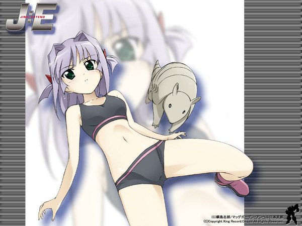 Anime picture 1024x768 with jinki feel (studio) kousaka rui swimsuit animal armadillo tagme