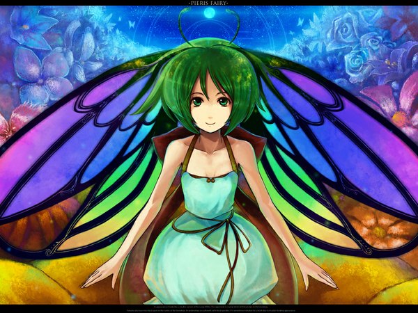 Anime picture 1024x768 with rel short hair smile green hair head wings fairy antennae dress wings