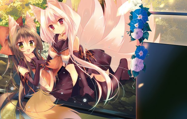 Anime picture 1566x1000 with original monaka natsume long hair looking at viewer blush open mouth red eyes brown hair multiple girls green eyes animal ears white hair tail animal tail multiple tails girl thighhighs gloves flower (flowers) black thighhighs