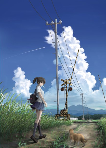 Anime picture 1536x2131 with original teraguchi single tall image fringe short hair black hair hair between eyes holding brown eyes looking away sky cloud (clouds) full body outdoors ponytail pleated skirt looking back from behind shadow