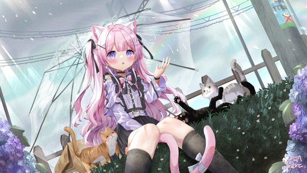 Anime picture 1920x1080 with original siera (sieracitrus) single long hair looking at viewer blush fringe highres open mouth wide image sitting purple eyes signed animal ears pink hair cloud (clouds) ahoge outdoors tail blunt bangs