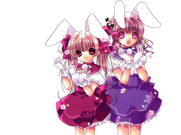 Anime picture 1600x1200 with di gi charat madhouse bunny girl girl tagme