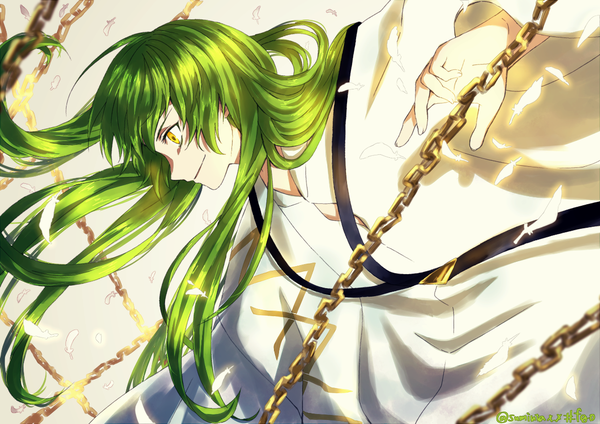 Anime picture 1200x849 with fate (series) fate/strange fake enkidu (fate) kawasemi sumika single long hair yellow eyes upper body profile green hair wind looking down androgynous boy chain feather (feathers)