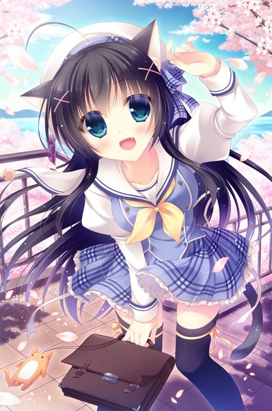 Anime picture 663x1000 with original yukie (peach candy) single long hair tall image looking at viewer blush open mouth blue eyes black hair animal ears tail animal tail cat ears teeth cat girl cat tail fang (fangs) girl thighhighs
