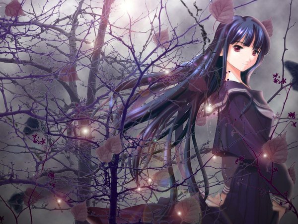Anime picture 1024x768 with atlach-nacha hirasaka hatsune single long hair looking at viewer fringe black hair red eyes looking back wind lens flare bare tree autumn girl uniform plant (plants) tree (trees) serafuku leaf (leaves) branch