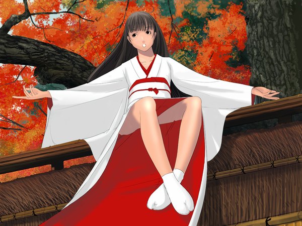 Anime picture 1024x768 with original souldeep open mouth looking away japanese clothes from below crossed legs spread arms miko autumn kimono