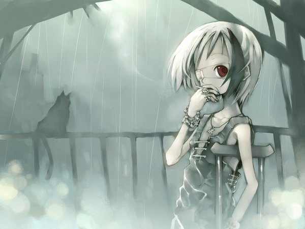 Anime picture 1024x768 with original bikko kei (keigarou) single looking at viewer fringe short hair brown eyes payot silver hair outdoors arm up rain borrowed character girl animal cat eyepatch necklace fence