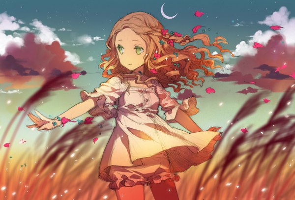 Anime picture 1234x838 with original h2so4 single brown hair green eyes cloud (clouds) wind wavy hair spread arms crescent sketch curly hair field girl hair ornament petals moon knickers