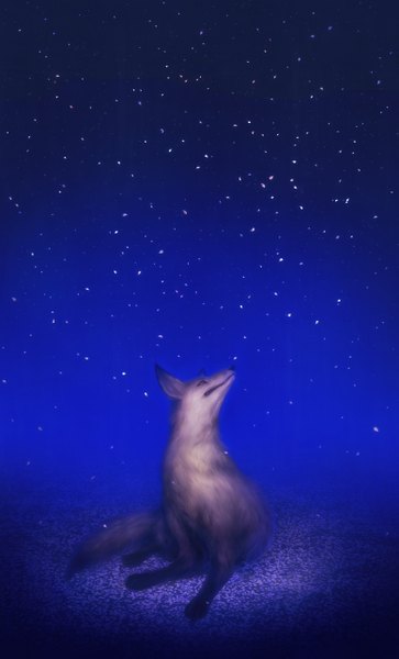 Anime picture 778x1286 with original simosi tall image night night sky looking up no people animal star (stars) fox