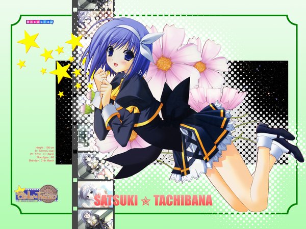 Anime picture 1600x1200 with stellar theater tachibana satsuki suzuhira hiro character names flower (flowers) cosmos (flower) tagme