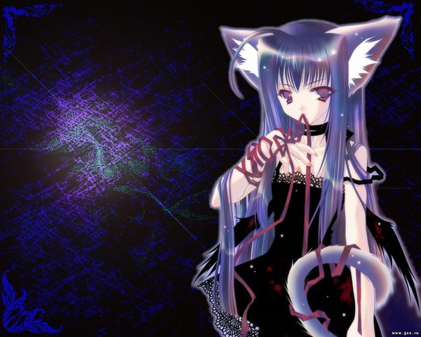 Anime picture 1280x1024 with tagme (artist) single long hair fringe highres purple eyes animal ears purple hair tail cat ears cat girl cat tail dark background black wings girl dress ribbon (ribbons) black dress blood collar