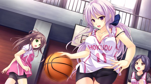 Anime picture 2048x1152 with shin shirogane no soleil skyfish (studio) long hair highres short hair open mouth black hair brown hair wide image purple eyes multiple girls green eyes game cg silver hair basketball girl uniform 3 girls gym uniform ball