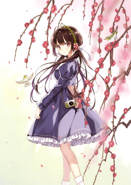 Anime picture 2486x3500 with original kurasawa moko single long hair tall image looking at viewer highres red eyes brown hair white background twintails scan official art girl dress flower (flowers) petals headband camera
