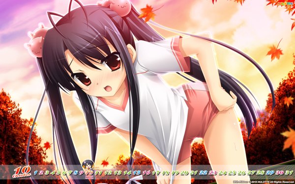 Anime picture 1920x1200 with with ribbon haruka hinata long hair blush highres open mouth black hair red eyes wide image twintails loli girl uniform leaf (leaves) gym uniform calendar