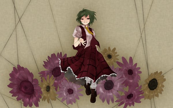 Anime picture 1321x830 with touhou kazami yuuka girl skirt skirt set tagme katakei