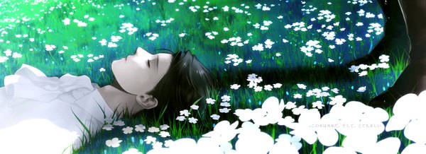 Anime picture 1849x674 with shingeki no kyojin production i.g levi (rivaille) johnny lmd single short hair brown hair wide image eyes closed profile boy flower (flowers) plant (plants) shirt tree (trees) grass