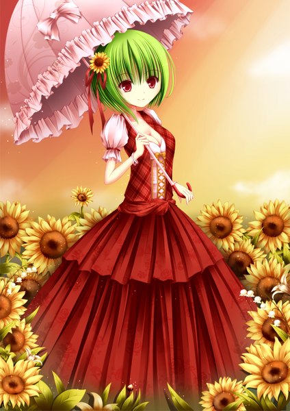 Anime picture 1132x1601 with touhou kazami yuuka yy (artist) single tall image looking at viewer short hair smile red eyes sky cleavage cloud (clouds) hair flower green hair evening sunset girl dress hair ornament flower (flowers)