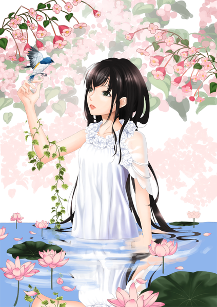 Anime picture 595x842 with original akira yoshimi long hair tall image fringe black hair green eyes looking away light smile outstretched arm reflection bird on hand girl dress flower (flowers) plant (plants) animal petals water white dress