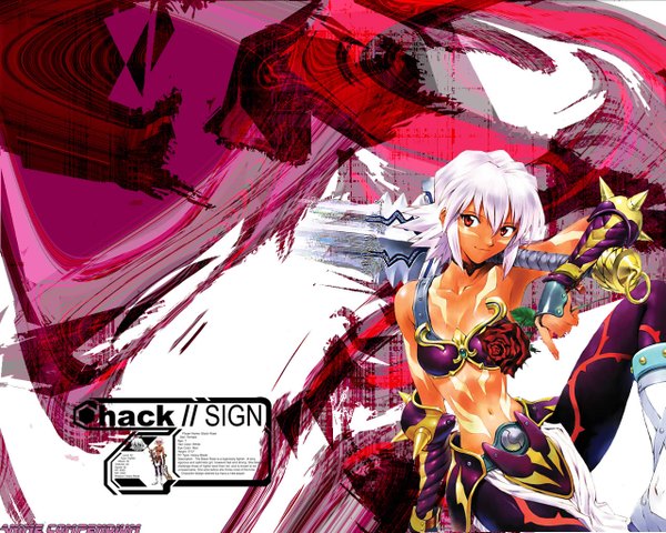 Anime picture 1280x1024 with .hack// tagme