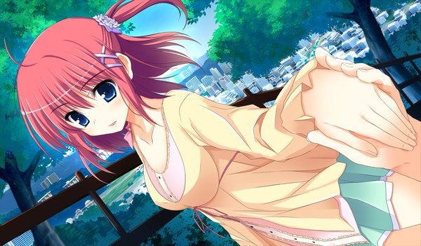 Anime picture 1024x600 with oshiete ecchi na recipe short hair blue eyes wide image game cg red hair girl dress plant (plants) tree (trees)