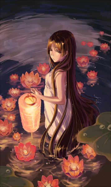 Anime picture 952x1599 with original mei yang single tall image brown hair brown eyes looking away very long hair girl flower (flowers) water sundress lamp