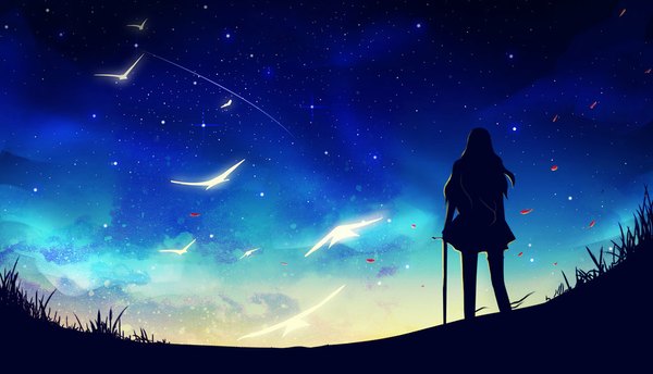 Anime picture 1024x588 with original erisiar single long hair wide image standing holding from behind night night sky back landscape silhouette girl skirt weapon plant (plants) animal petals sword
