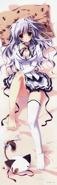 Anime picture 2322x7494 with mashiroiro symphony amaha miu izumi tsubasu single long hair tall image blush highres light erotic purple eyes purple hair dakimakura (medium) girl thighhighs uniform school uniform animal white thighhighs hairband pillow