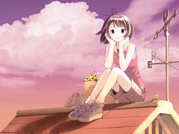 Anime picture 1600x1200 with mahou tsukai ni taisetsu na koto j.c. staff kikuchi yume yoshizuki kumichi single highres short hair brown hair brown eyes sky cloud (clouds) ahoge outdoors wallpaper head rest girl flower (flowers) animal shorts bird (birds)