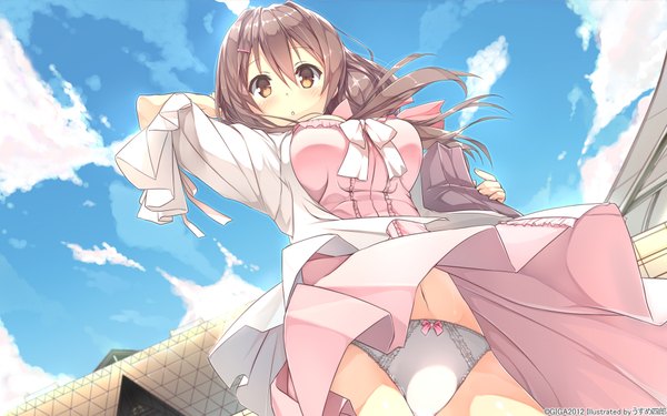 Anime picture 1920x1200 with hotch kiss giga mikage shizuku usume shirou single long hair looking at viewer blush fringe highres breasts open mouth light erotic brown hair large breasts brown eyes sky cloud (clouds) from below pantyshot