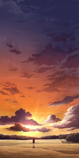 Anime picture 1000x2000 with original juuyonkou single tall image sky cloud (clouds) back evening sunset landscape field no face girl skirt plant (plants) tree (trees) sun