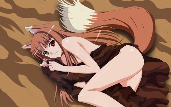 Anime picture 1920x1200 with spice and wolf horo long hair highres light erotic brown hair wide image animal ears tail wolf ears wolf tail