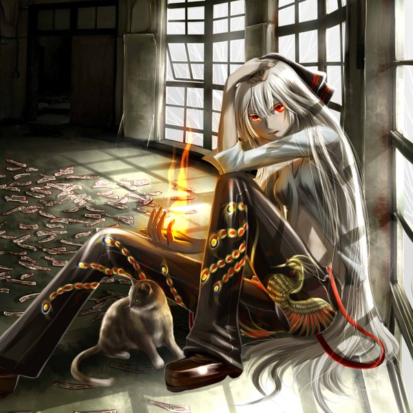 Anime picture 1582x1582 with touhou fujiwara no mokou kouji oota single long hair looking at viewer red eyes silver hair girl bow hair bow animal cat fire ofuda