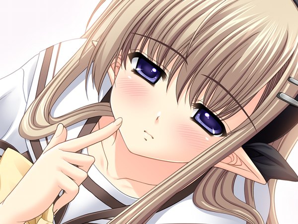 Anime picture 1024x768 with shuffle! single long hair blush blue eyes brown hair game cg pointy ears close-up girl